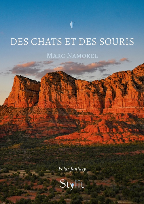 ebook cover of Des chats et des souris, by Marc Namokel