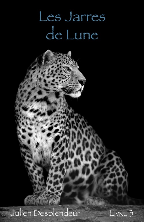 ebook cover of Trois âmes, trois femmes, une destinée - Livre 3, by Julien Desplendeur
