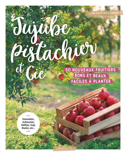 ebook cover of Jujube pistachier et Cie, by Jean-Yves Maisonneuve