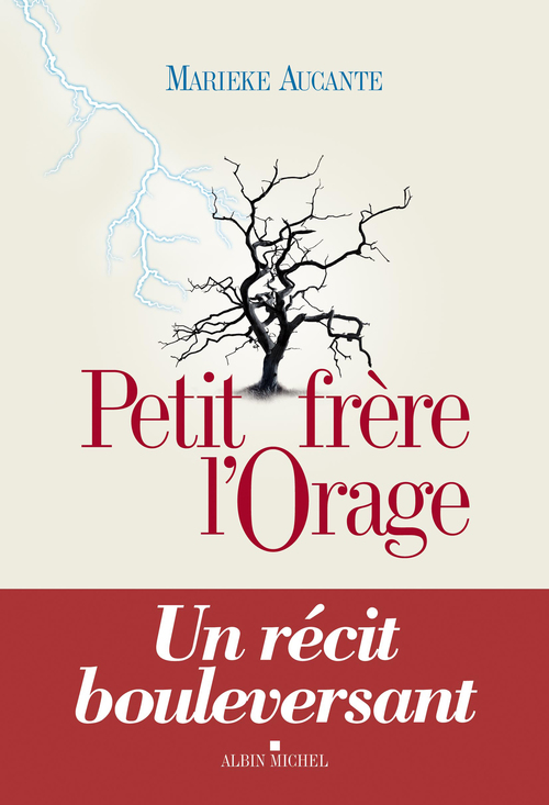 ebook cover of Petit Frère l'Orage, by Marieke Aucante