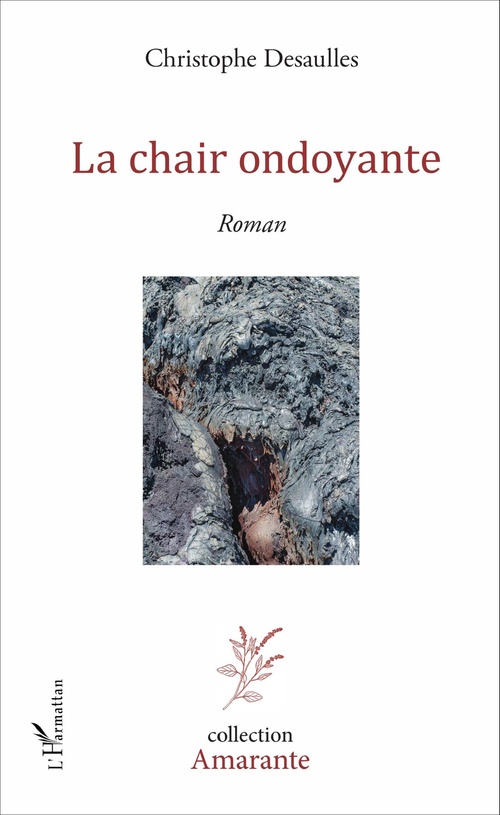 ebook cover of La chair ondoyante, by Christophe Desaulles