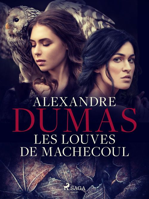 ebook cover of Les Louves de Machecoul, by Alexandre Dumas