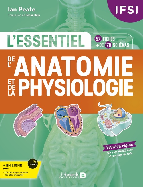Couverture ebook de IFSI - L'essentiel de l´anatomie et de la physiologie humaines en fiches, de Ian Peate