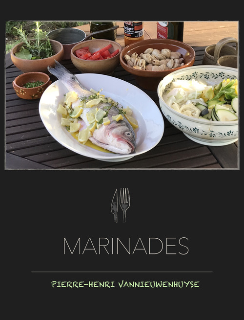 ebook cover of Marinades pour planchas et barbecues, by Recettes E Pierre-Henri Vannieuwenhuyse
