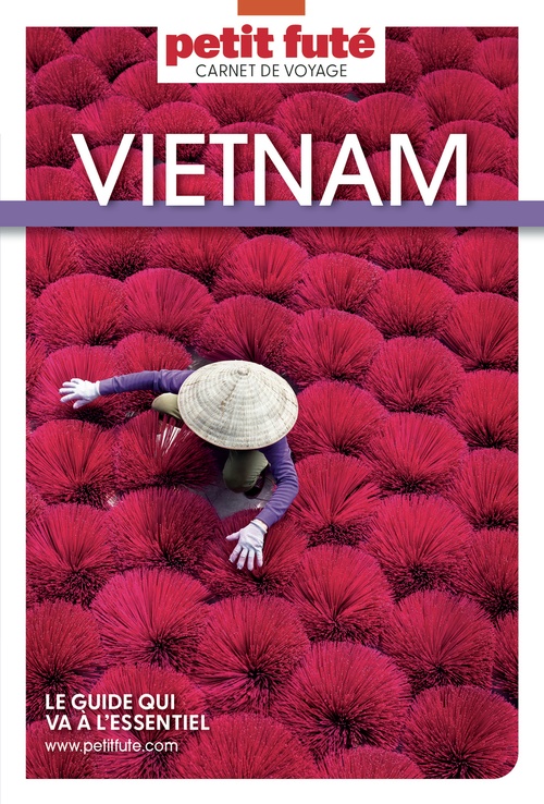 Couverture ebook de Guide Vietnam 2025 Carnet Petit Futé, de Auzias D., Labourde