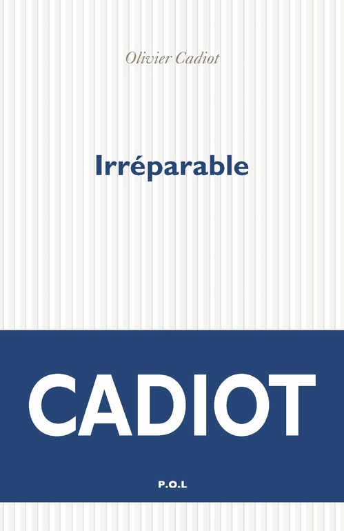 Couverture ebook de Irréparable, de Olivier Cadiot