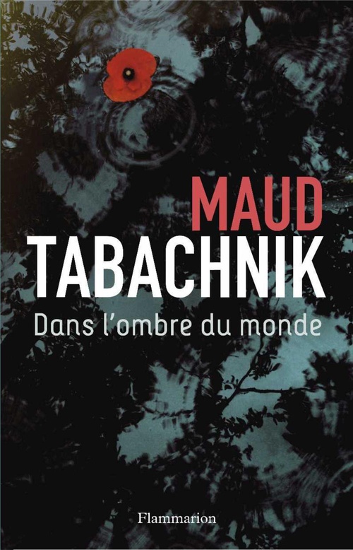 Couverture ebook de Dans l'ombre du monde, de Maud Tabachnik