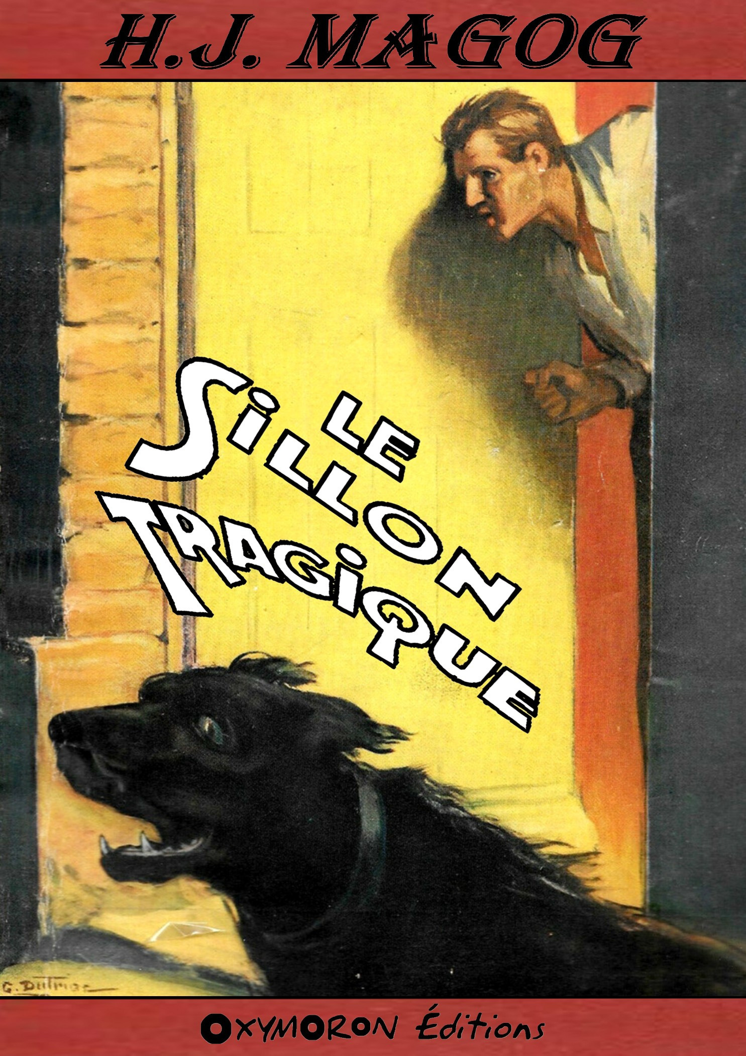 ebook cover of Le sillon tragique, by H.j. Magog