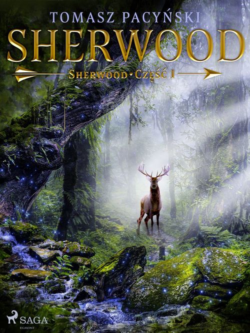 Couverture ebook de Sherwood, de Tomasz Pacy'Nski