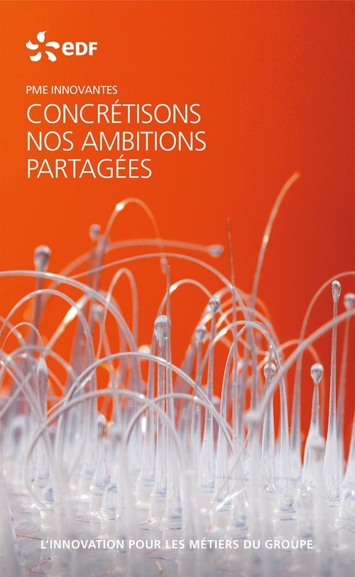 Couverture ebook de EDF PME innovantes - L'innovation pour les métiers du groupe, de Edf