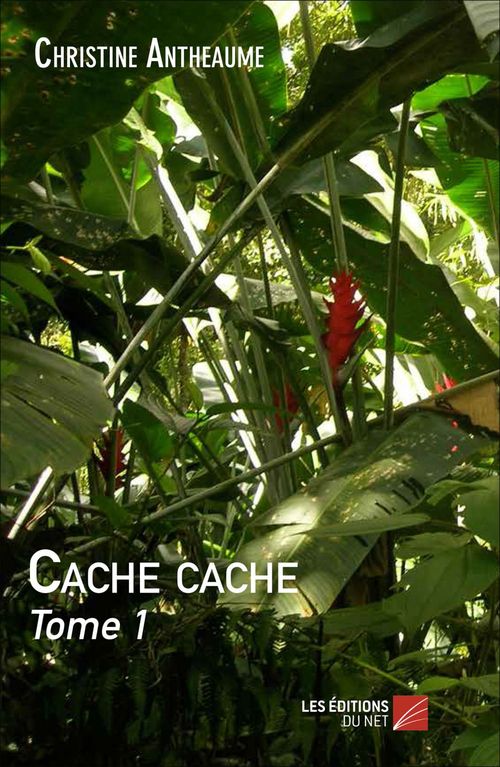 Couverture ebook de Cache cache, de Christine Antheaume