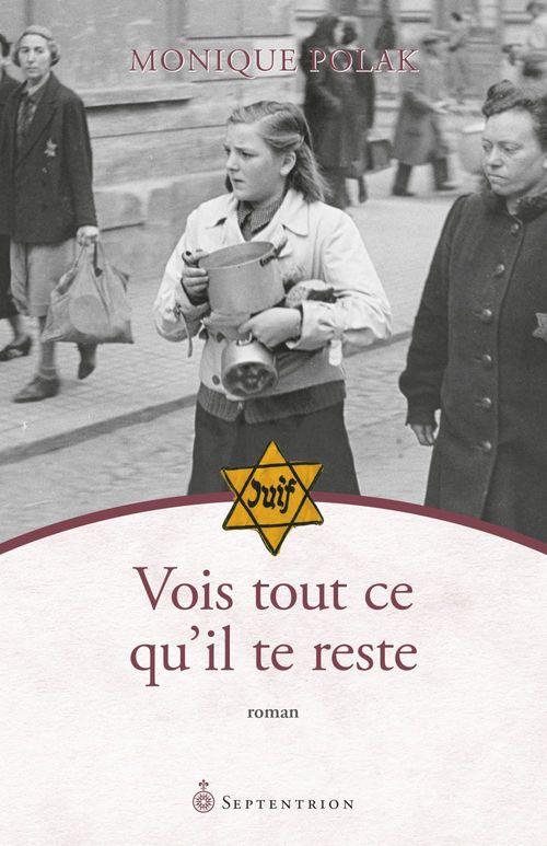 ebook cover of Vois tout ce qu'il te reste, by Monique Polak