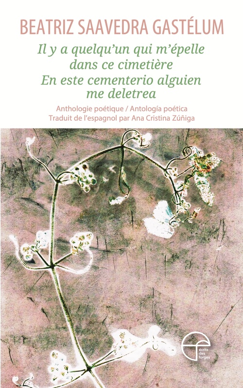 Couverture ebook de Il y a quelqu'un qui m'épelle dans ce cimetière, de Saavedra Gastelum Be