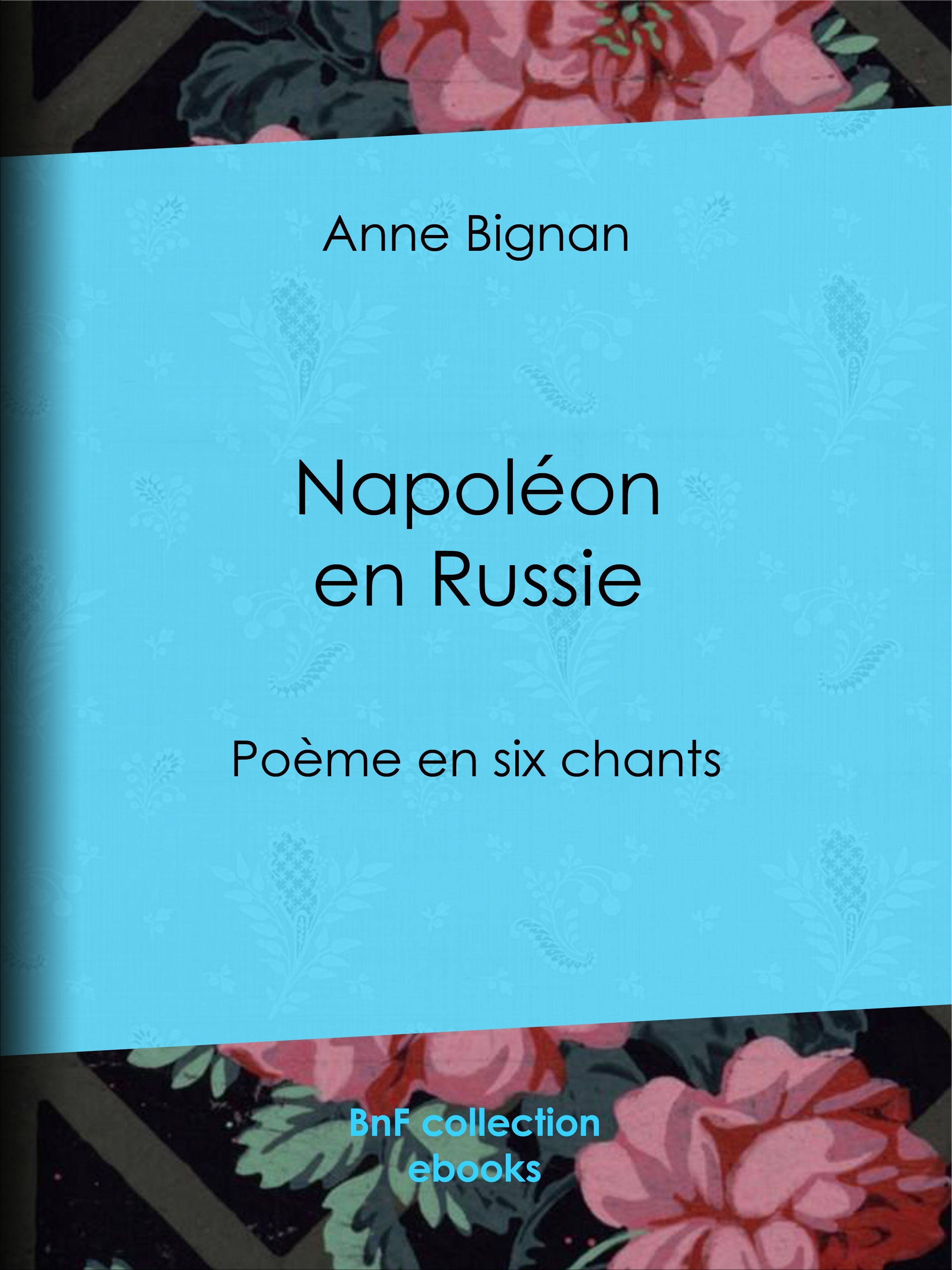 ebook cover of Napoléon en Russie, by Anne Bignan