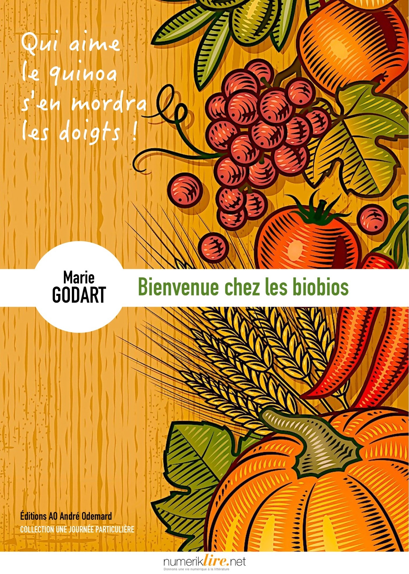 ebook cover of Bienvenue chez les biobios, by Marie Godart