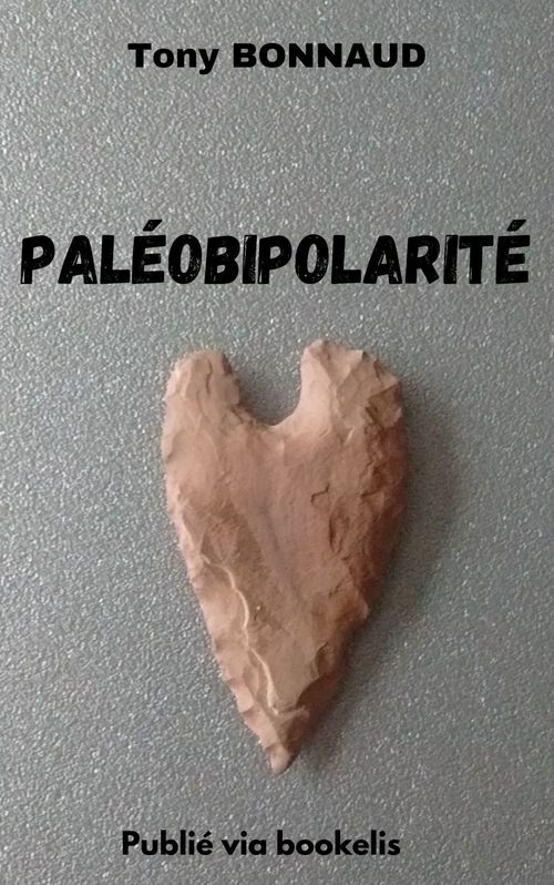 Couverture ebook de Paléobipolarité, de Tony Bonnaud