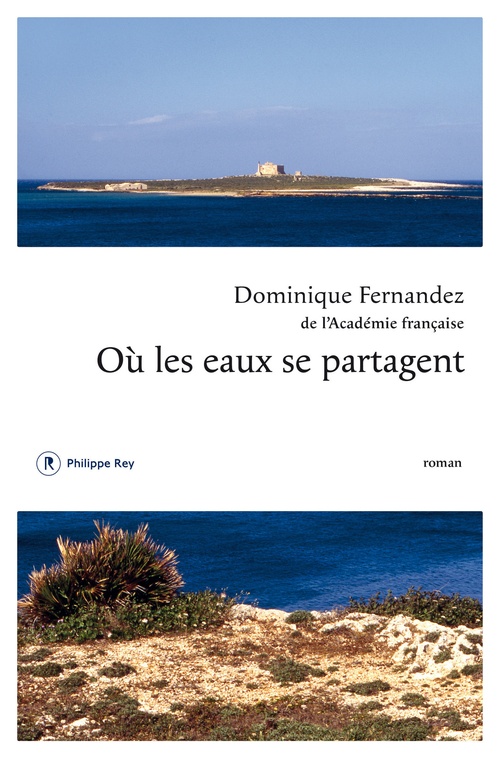 Couverture ebook de Où les eaux se partagent, de Dominique Fernandez