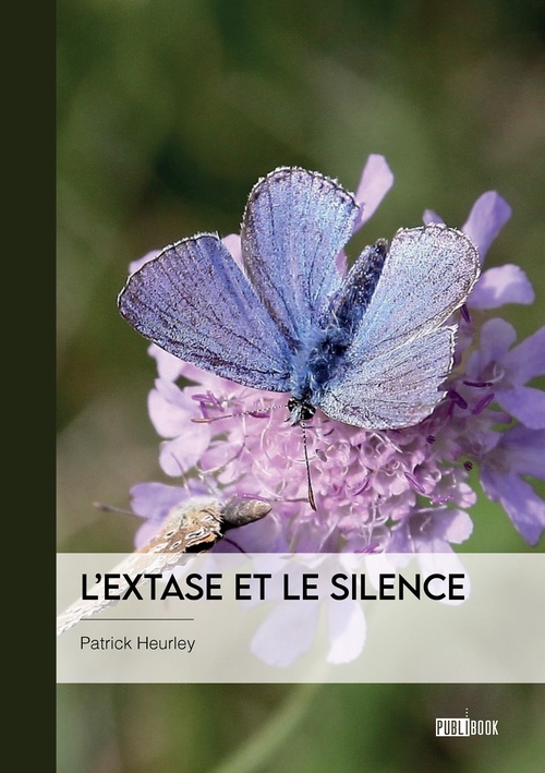 ebook cover of L´extase et le silence, by Patrick Heurley