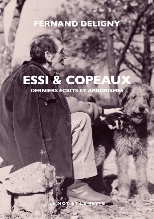 ebook cover of Essi & copeaux, by Fernand DELIGNY