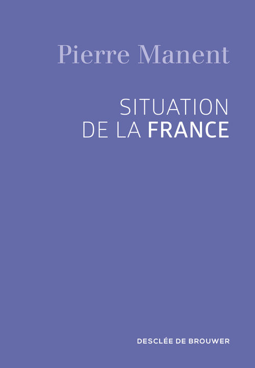 ebook cover of Situation de la France, by Pierre Manent