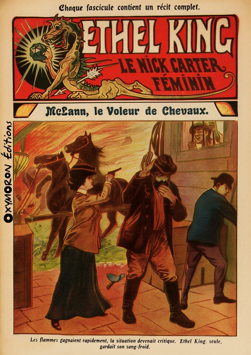 Couverture ebook de McLann, le voleur de chevaux, de Jean Petithuguenin