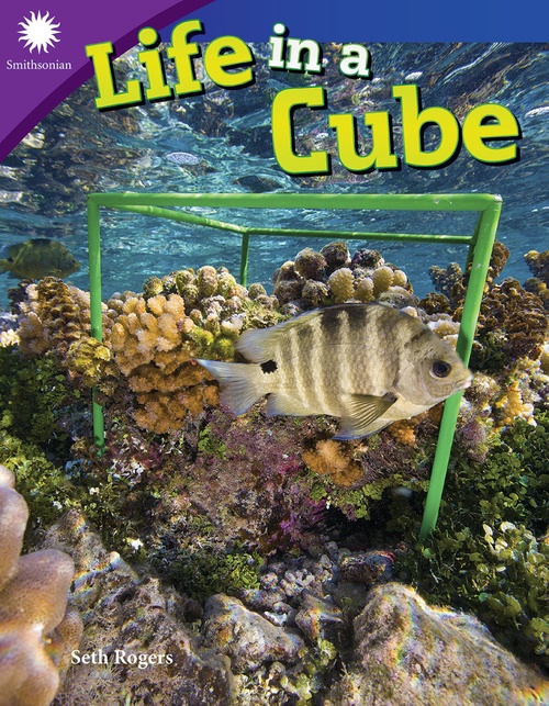 ebook cover of Life in a Cube, by Seth Rogers