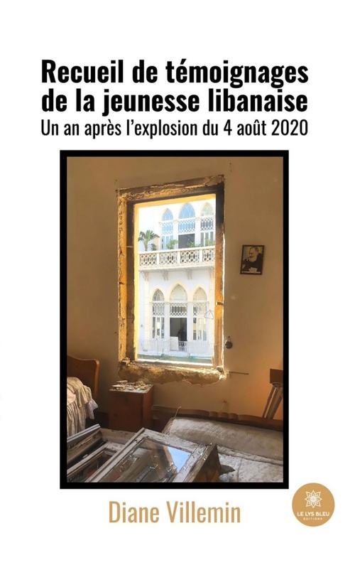 ebook cover of Recueil de témoignages de la jeunesse libanaise, by Diane Villemin