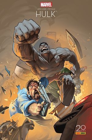 ebook cover of Hulk gris (Edition 20 ans Panini Comics), by Jeff Loeb, Tim Sale