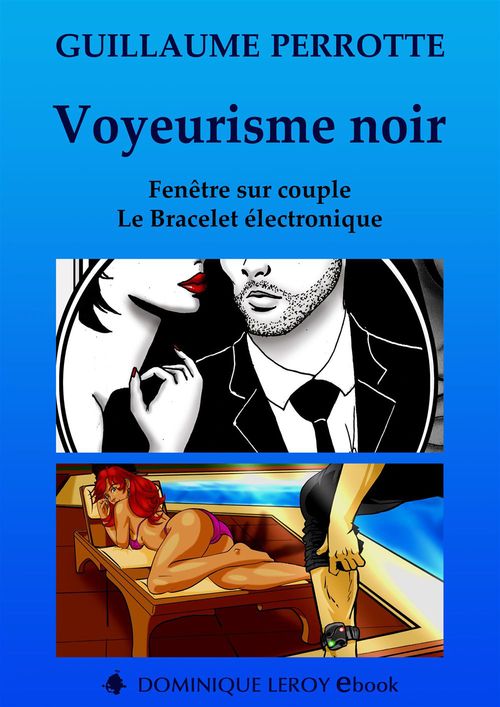 ebook cover of Voyeurisme noir, by Guillaume Perrotte