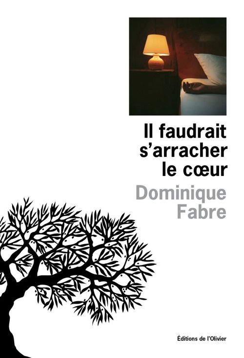 Couverture ebook de Il faudrait s'arracher le cOeur, de Dominique Fabre