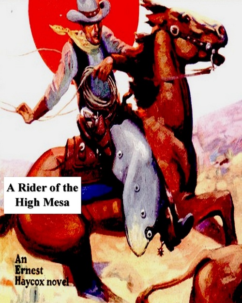 ebook cover of A Rider of the High Mesa, by Ernest Haycox