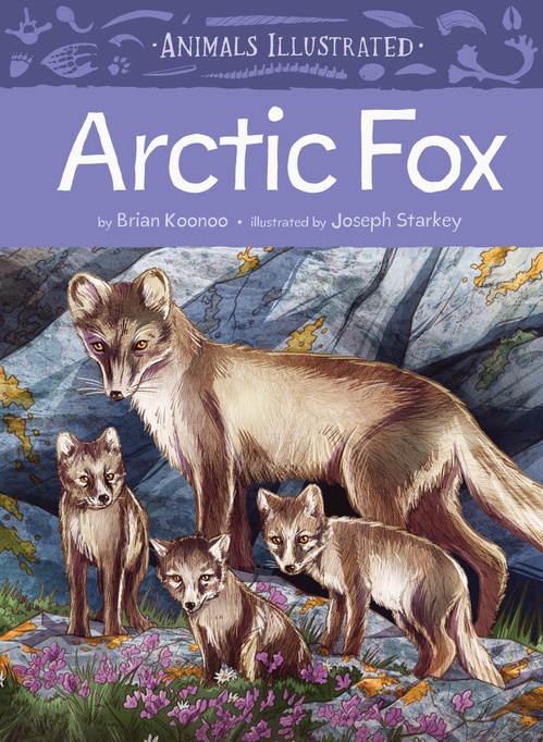 ebook cover of Animals Illustrated: Arctic Fox, by Brian Koonoo