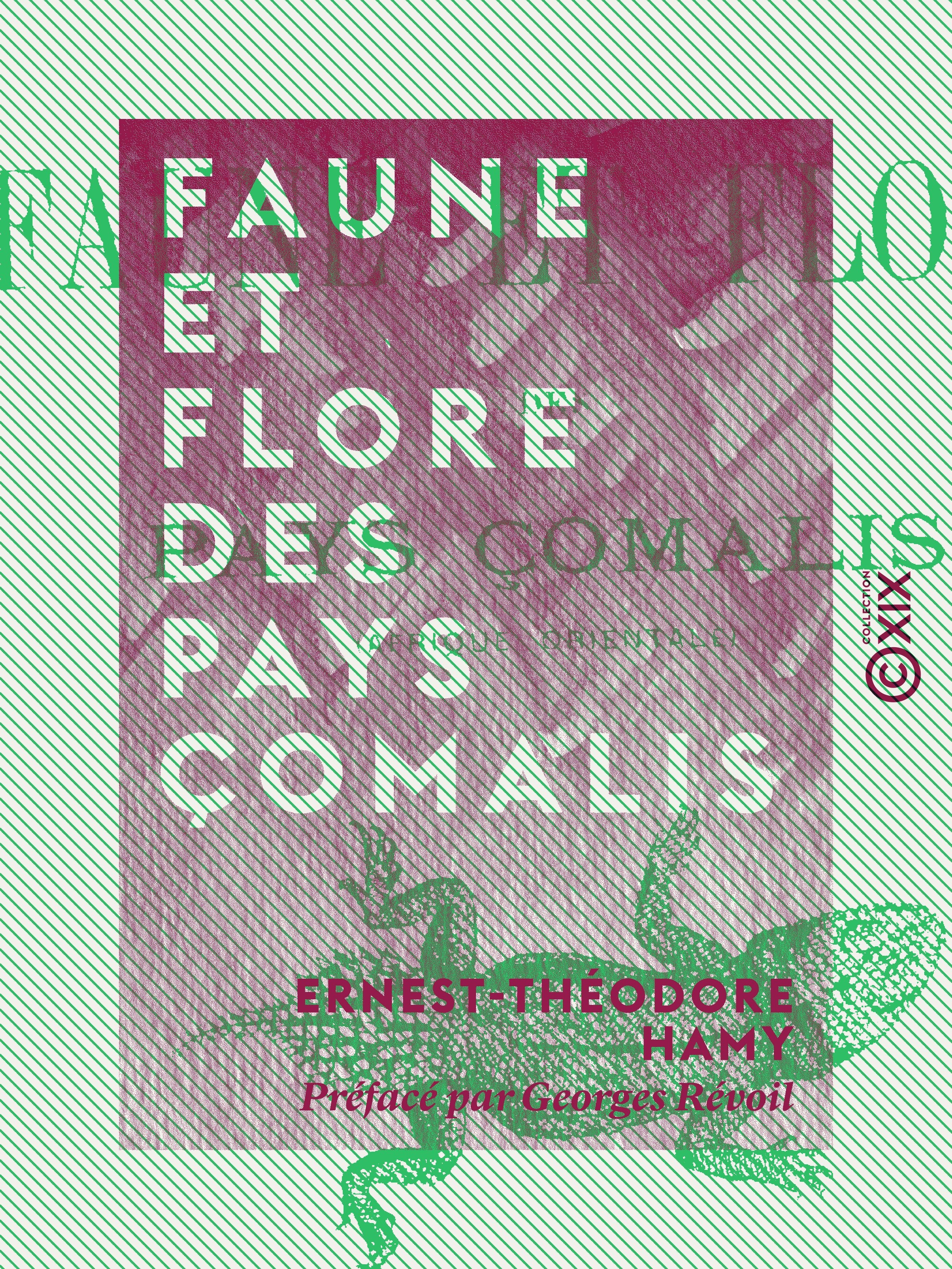 Couverture ebook de Faune et flore des pays Çomalis, de Ernest-Theodore Hamy, Georges Revoil