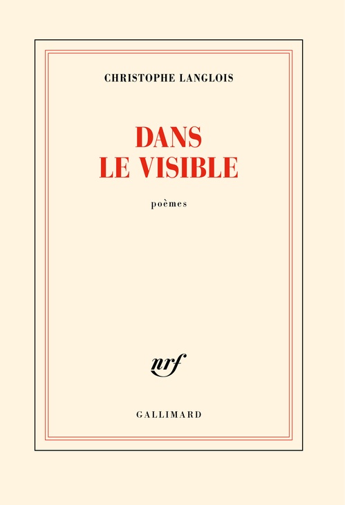 ebook cover of Dans le visible, by Christophe Langlois