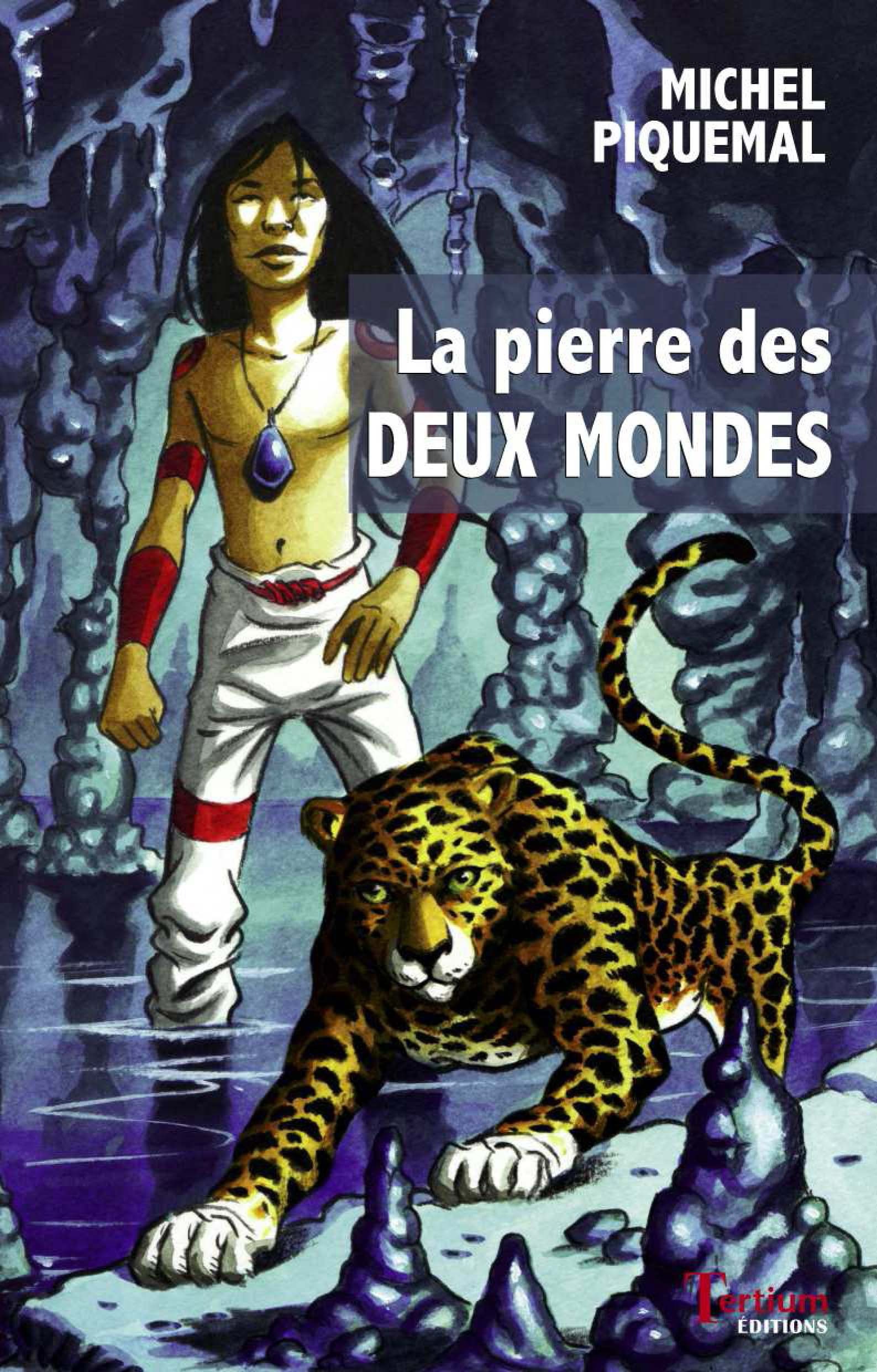 ebook cover of La pierre des deux mondes, by Michel Piquemal
