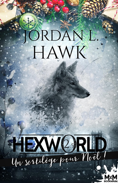 ebook cover of Un sortilège pour Noël !, by Jordan L. Hawk