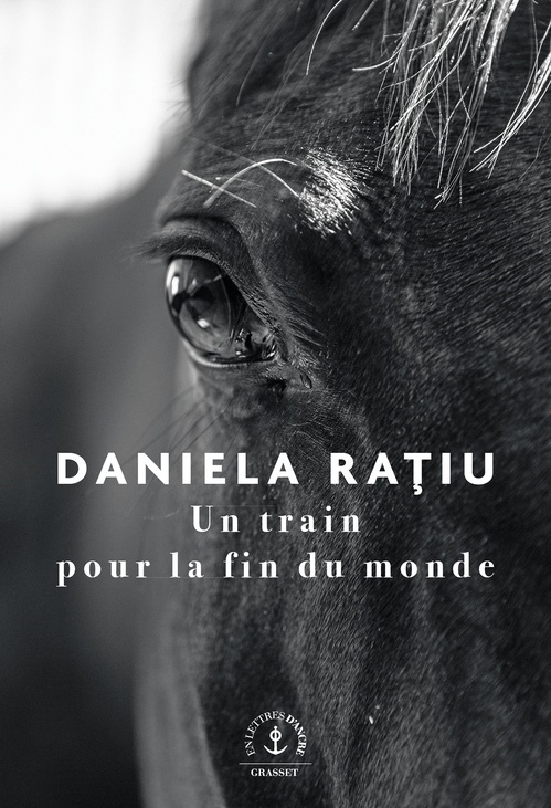 ebook cover of Un train pour la fin du monde, by Daniela Ratiu