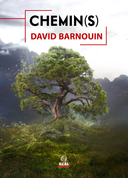 Couverture ebook de Chemin(s), de David Barnouin