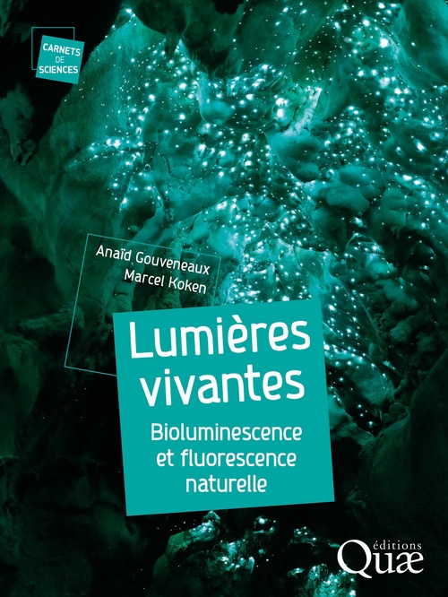 ebook cover of Lumières vivantes, by Anaïd Gouveneaux, Marcel Koken