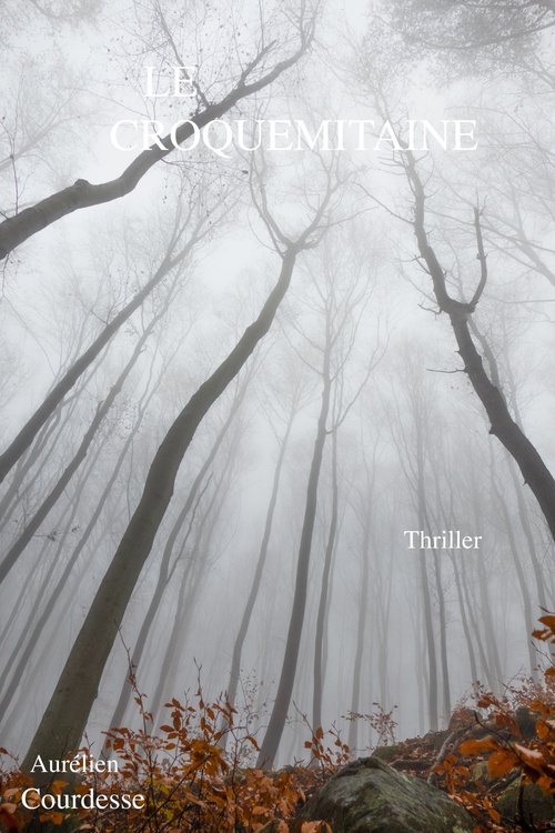 ebook cover of LE CROQUEMITAINE, by Aurelien Courdesse