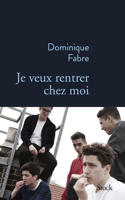 ebook cover of Je veux rentrer chez moi, by Dominique Fabre