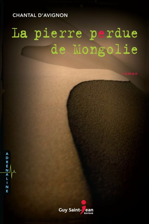 Couverture ebook de La pierre perdue de Mongolie, de Chantal D Avignon
