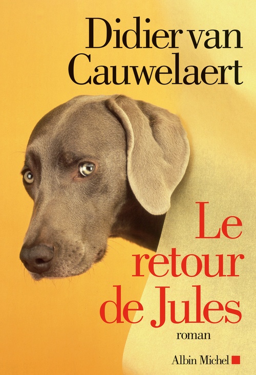 Couverture ebook de Le Retour de Jules, de Didier van Cauwelaert