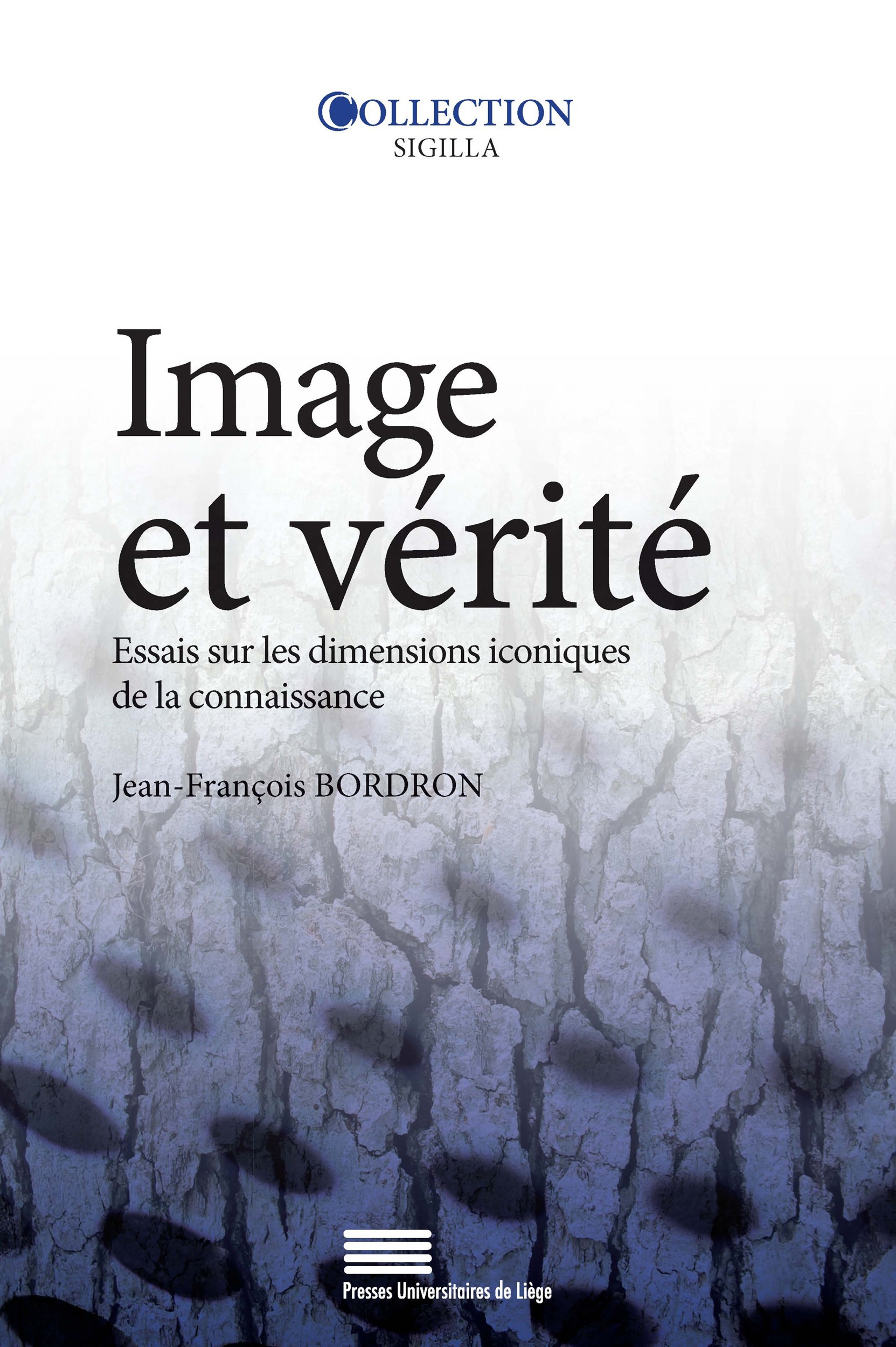 Couverture ebook de Image et vérité, de Jean-François Bordron