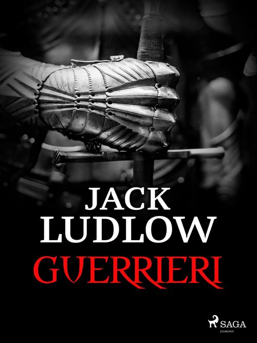 Couverture ebook de Guerrieri, de David Donachie