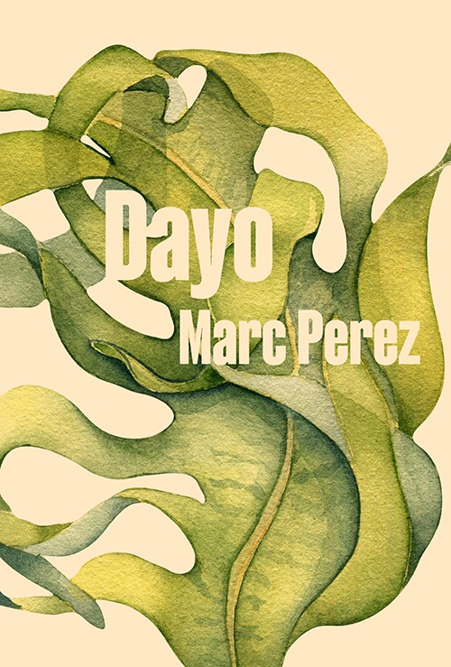 Couverture ebook de Dayo, de Marc Perez