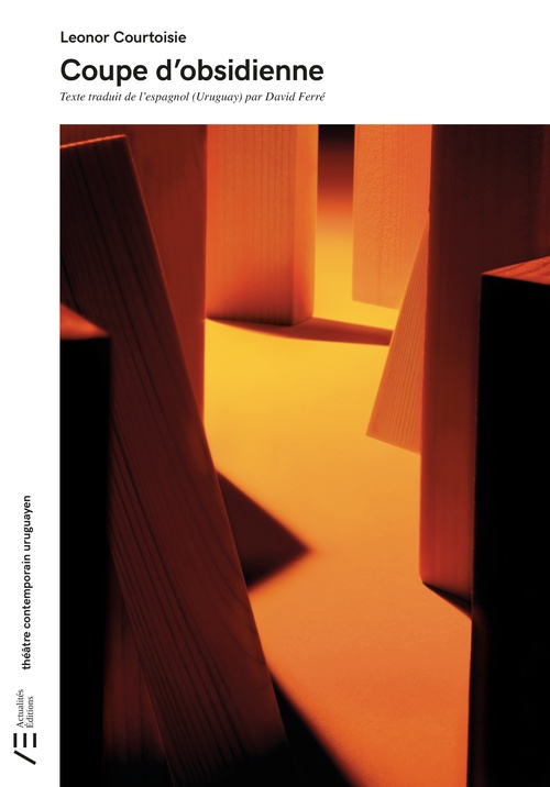 Couverture ebook de Coupe d'obsidienne, de Leonor Courtoisie