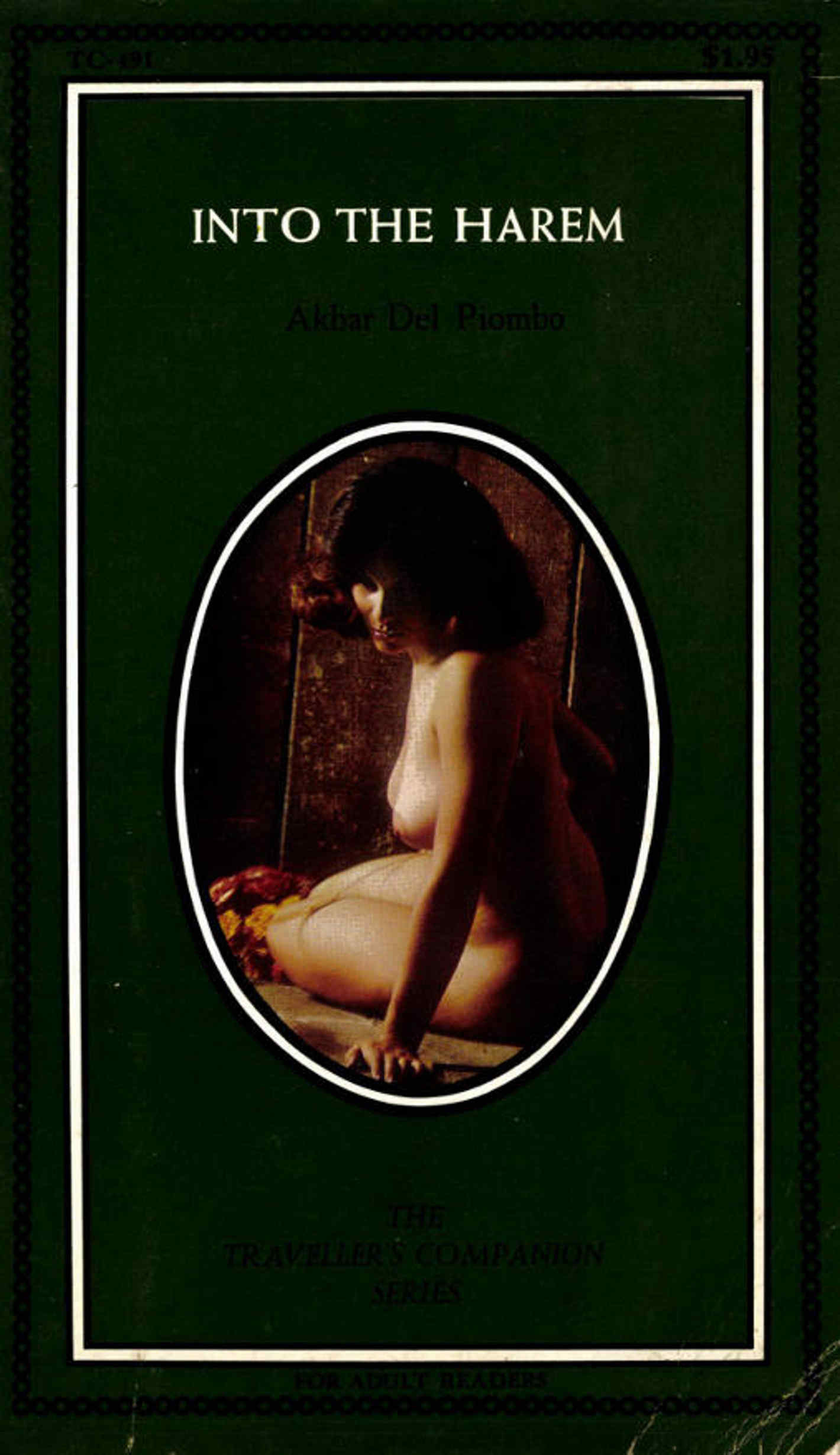Couverture ebook de Into the Harem, de Akbar del Piombo