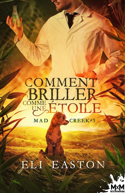 Couverture ebook de Comment briller comme une étoile, de Eli Easton