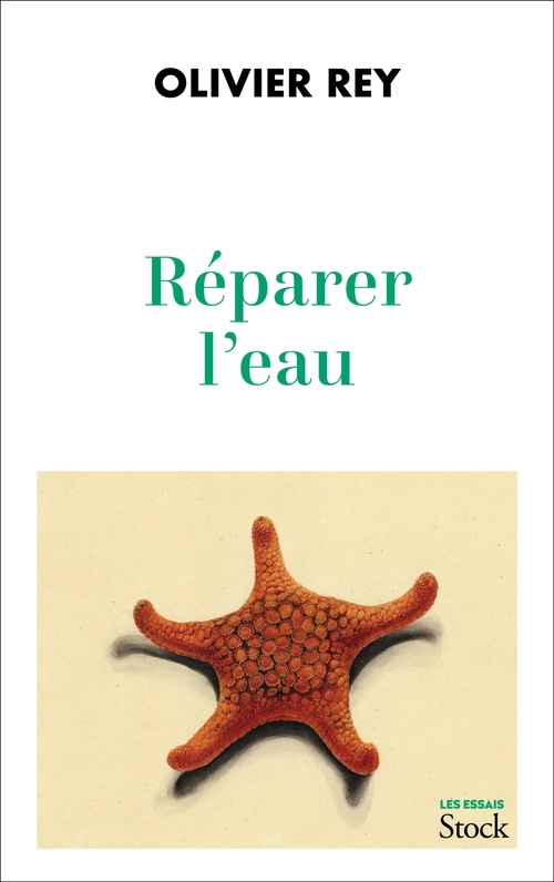 ebook cover of Réparer l'eau, by Olivier Rey